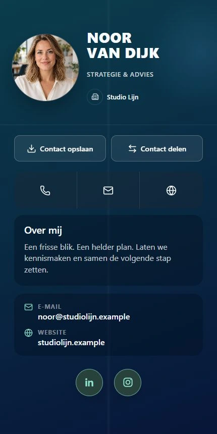 Noor van Dijk in het Corporate Executive-template